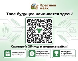 Изображение для новости