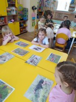 Изображение для новости