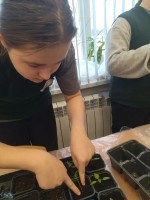 Изображение для новости